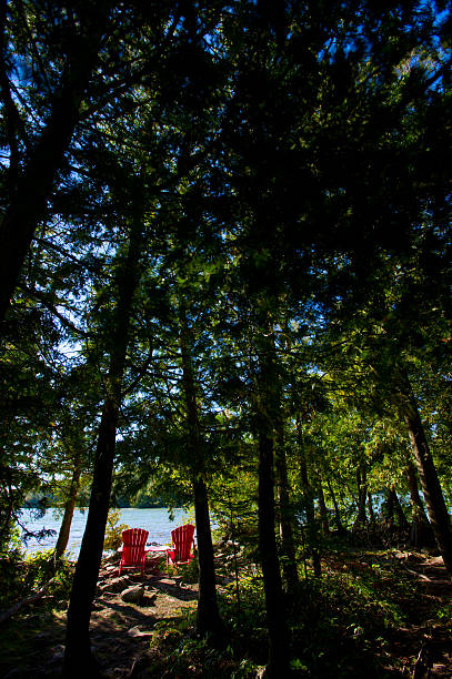 istock Bruce Peninsula at Cyprus lake, Ontario 497176420