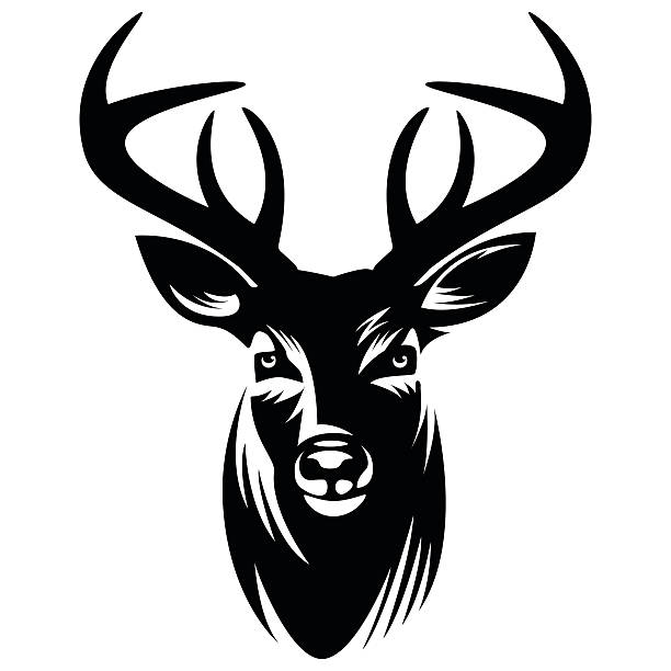 stockillustraties, clipart, cartoons en iconen met deer vector illustration - vector - echte herten