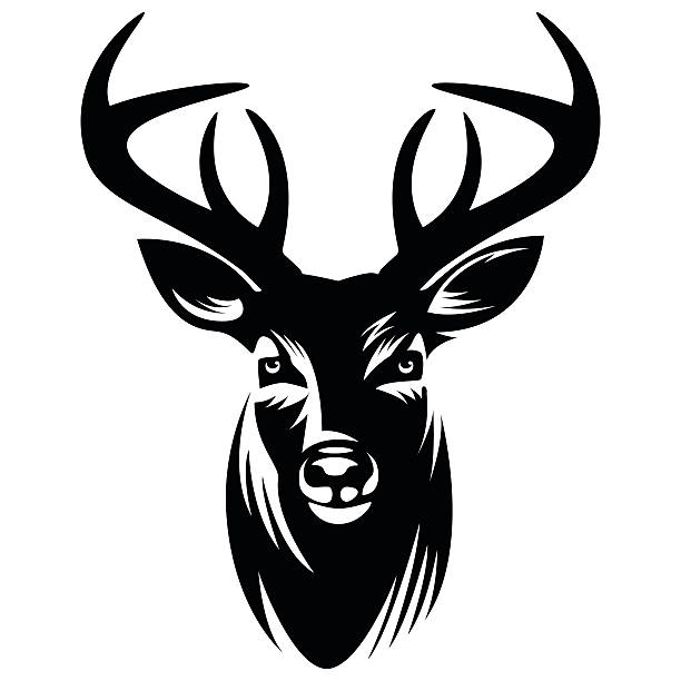 Deer vector Illustration - VECTOR vector art illustration