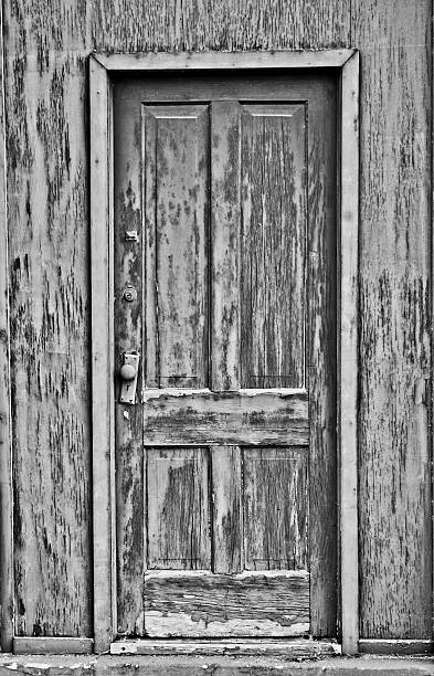 istock Architecture: Old wooden door with peeling paint 497180010