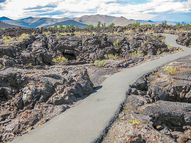 Springtime flowers growing on cinders at the Craters of the Moon National Monument, Idaho.