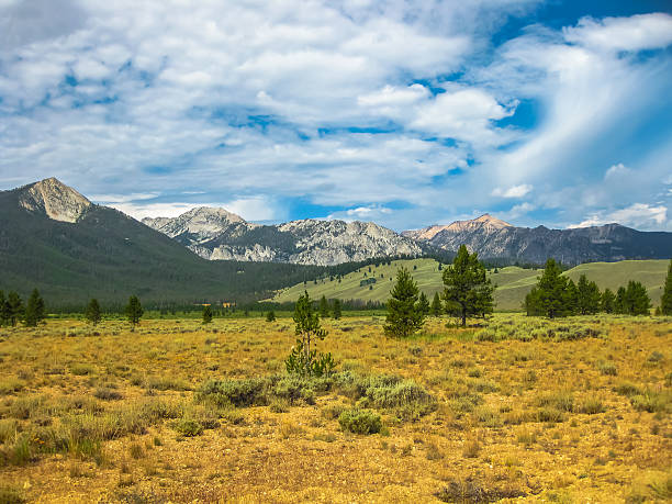 istock Sawtooth National Forest Idaho 497180630