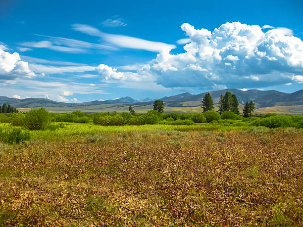 80+ Condado De Valley Idaho fotos de stock, imagens e fotos royalty