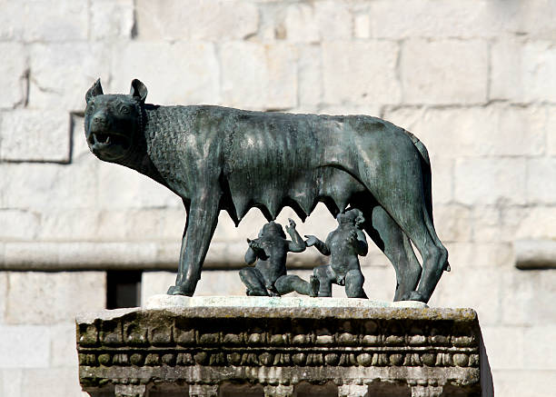 lupo capitolini latte i due fondatori di roma - piazza del campidoglio statue rome animal foto e immagini stock