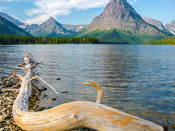 istock Mount Sinopah in Glacier National Park 497180928