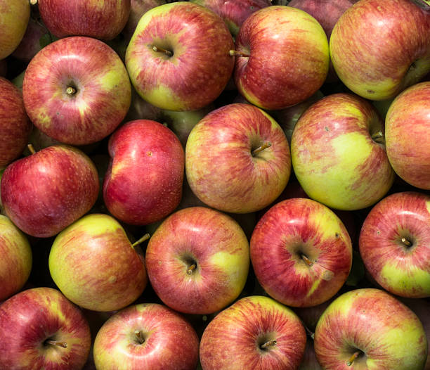 istock Group of green-red apples. 497181108