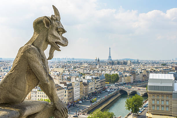 istock Aerial View of Paris from Notre-dame 497182035