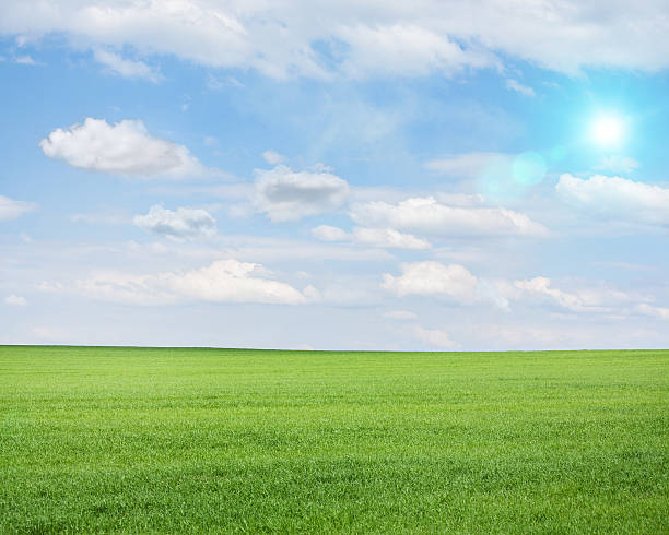 istock Green field on a sunny summer day 497182213