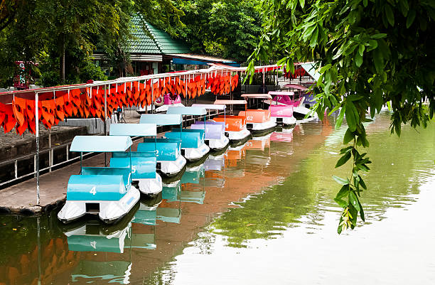 line of colorful paddle boats