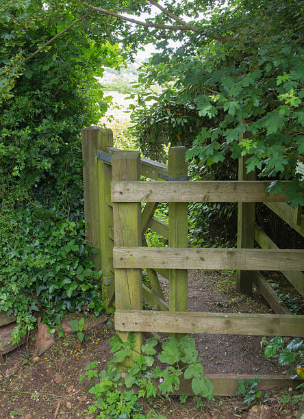 Kissing Gate In The Forest stock photo