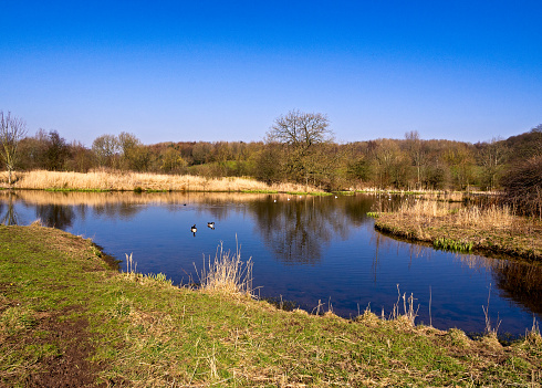 Early springtime sunshine at Cuerden Valley Park, Lancashire, UK