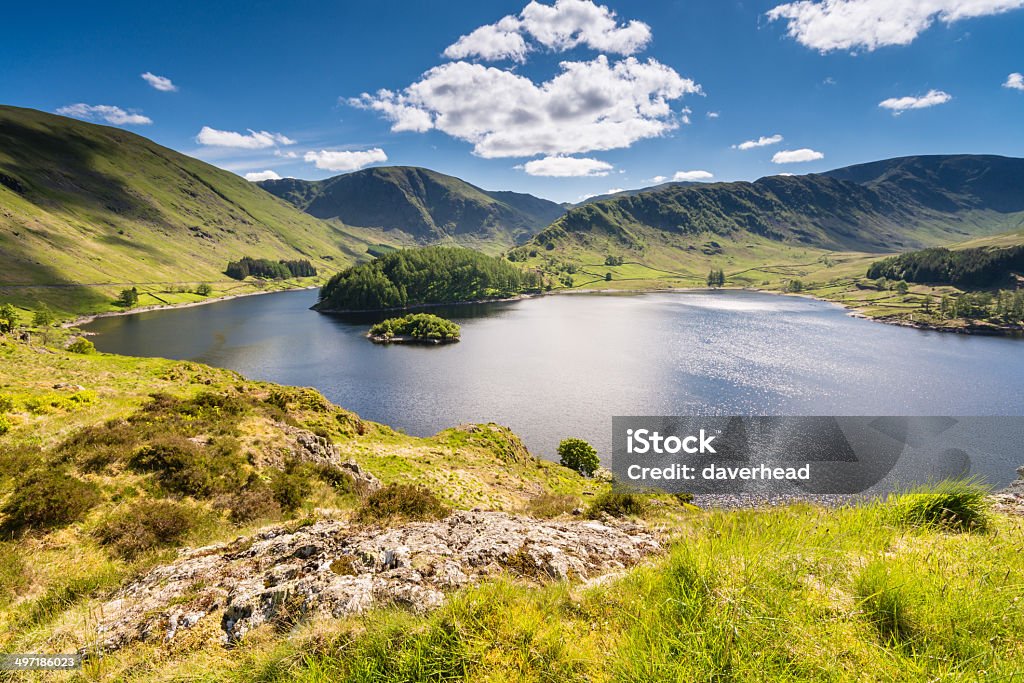 Sunny day at Haweswater reservoir in England Haweswater Reservoir in Mardale Valley taken from Whiteacre Crag.   A green hill that leads down to the water is in the foreground.  The water is deep blue and reflects the sunlight.  The reservoir is surrounded by rolling green hills, and a deep blue sky filled with fluffy white clouds is overhead. English Lake District Stock Photo