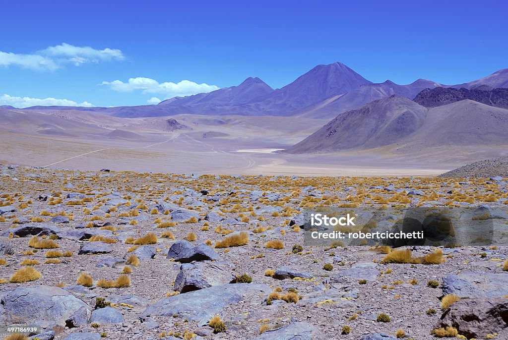 Barren landscape of te Atacama Desert, Chile Volcanic landscape of te Atacama Desert, Chile Altiplano Stock Photo