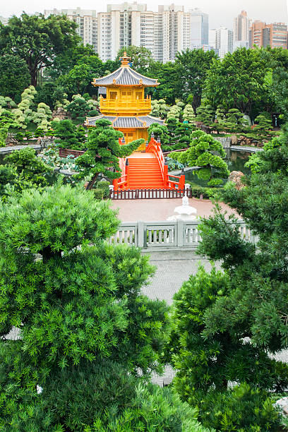 Golden Pavilion of Perfection in Nan Lian Garden Golden Pavilion of Perfection in Nan Lian Garden, Hong Kong, China. chi lin nunnery stock pictures, royalty-free photos & images