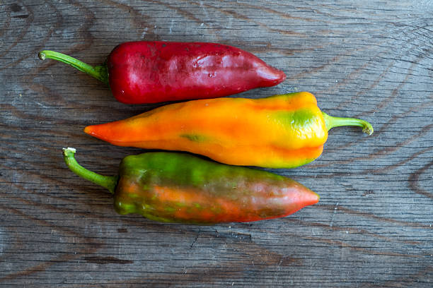 istock Fresh Seasonal Peppers 497190124