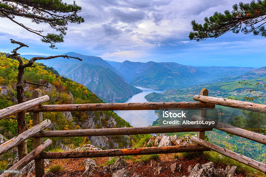Banjska stena profilo di Tara National Park, Serbia - Foto stock royalty-free di Serbia