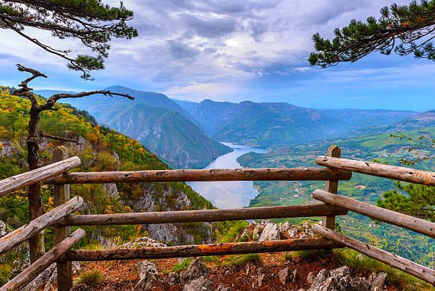 banjska stena точки зрения на национальный парк, сербия tara - serbian culture стоковые фото и изображения