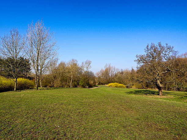 istock Early springtime sunshine at Cuerden Valley Park 497198723