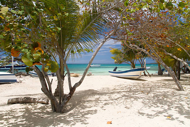 Come back for more beautiful Caribbean images.