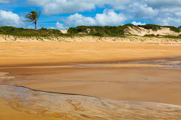 istock Itaunas Beach Espirito Santo Brazil dune sand sea sand 497199551