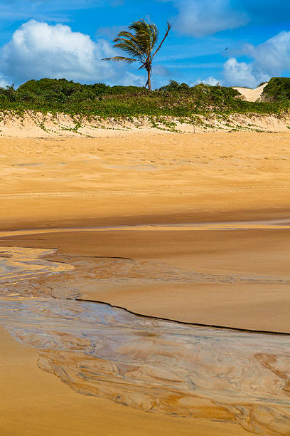 istock Itaunas Beach Espirito Santo Brazil dune sand sea sand 497199553