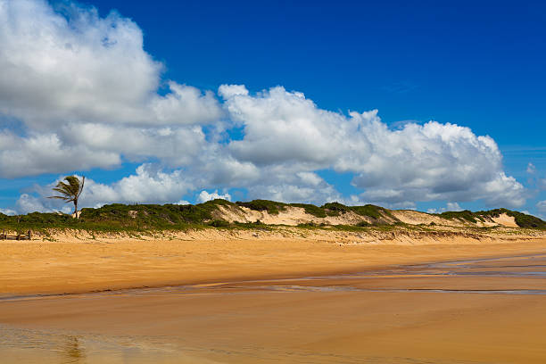 Itaunas Beach Espirito Santo Brazil dune sand sea sand