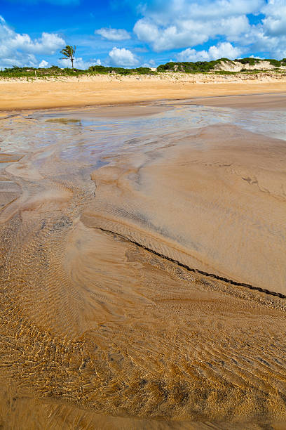 istock Itaunas Beach Espirito Santo Brazil dune sand sea sand 497200341