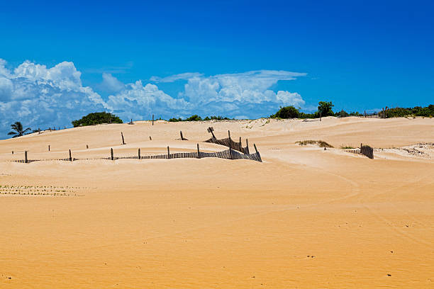 istock Itaunas Beach Espirito Santo Brazil dune sand sea sand 497201641