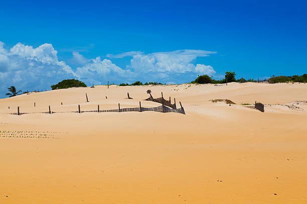 istock Itaunas Beach Espirito Santo Brazil dune sand sea sand 497201643