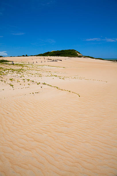 istock Itaunas Beach Espirito Santo Brazil dune sand sea sand 497201647