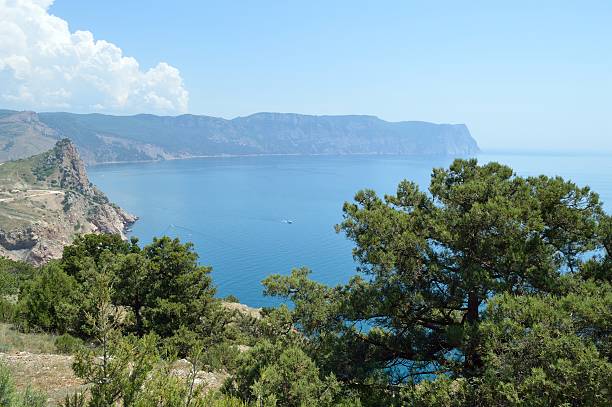 istock Beautiful beach of the Black Sea 497201915