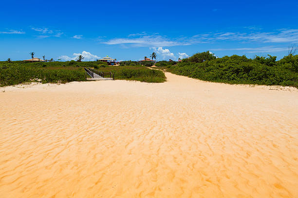 Itaunas Beach Espirito Santo Brazil dune sand sea sand