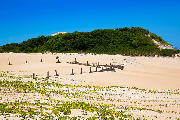istock Itaunas Beach Espirito Santo Brazil dune sand sea sand 497203227