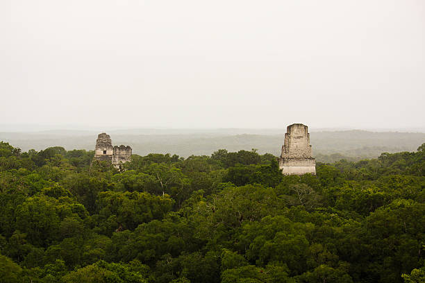 istock Mayan piramides in jungle or selva, Tikal 497203299