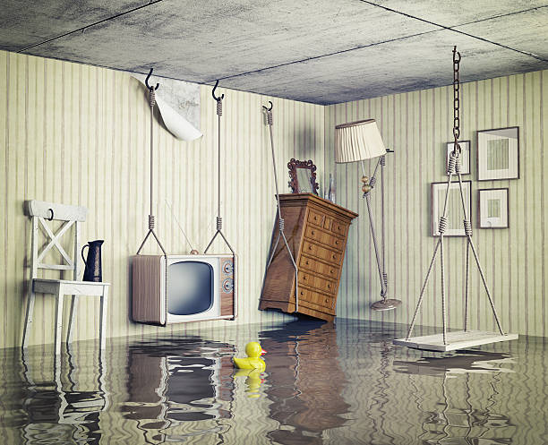 istock life in the flooded flat 497203373
