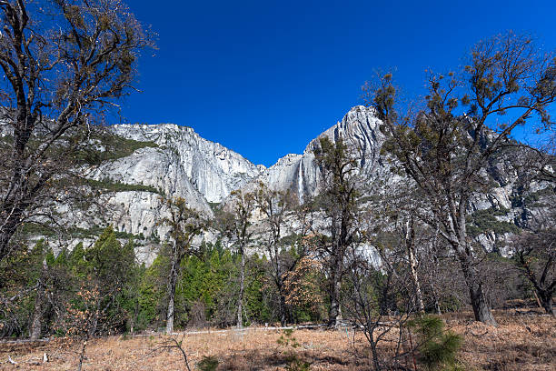 el capitan dans le parc national de yosemite - treet photos et images de collection