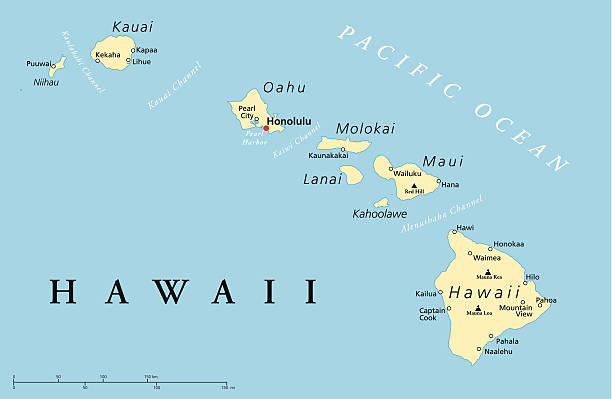 Hawaii Islands Political Map Political map of Hawaii islands with capital Honolulu, most important cities and volcanoes. Vector illustration with English labeling and scaling. hawaii islands stock illustrations