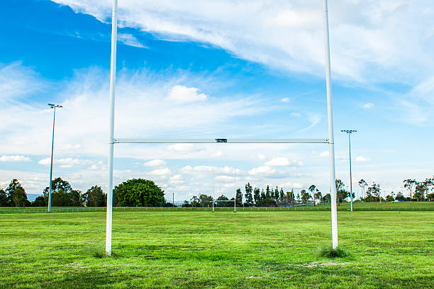 istock Football field 497211552