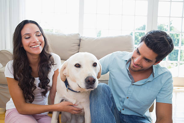 istock Fun couple playing with their dog 497211779
