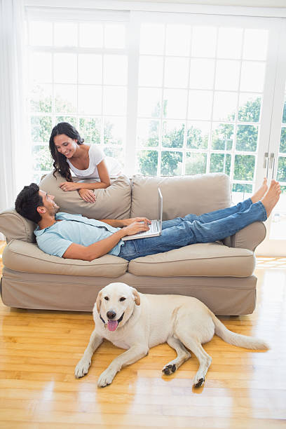 istock Humble couple spending time with the dog 497211783