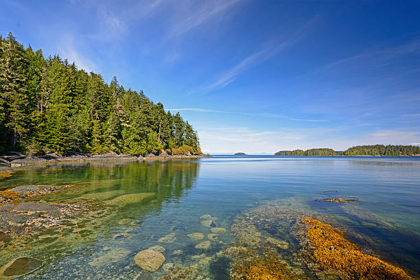 istock Coastal Bay on a Summer Day 497212165