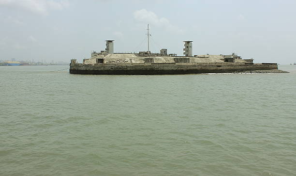 Fishing boats moor in the harbor while seagulls and crows fly around in Sassoon Docks which is one of the oldest docks in Mumbai and was the first wet dock constructed, It is one of largest fish markets in Mumbai City