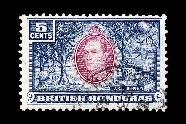 istock Post stamp of British Gonduras 497213059