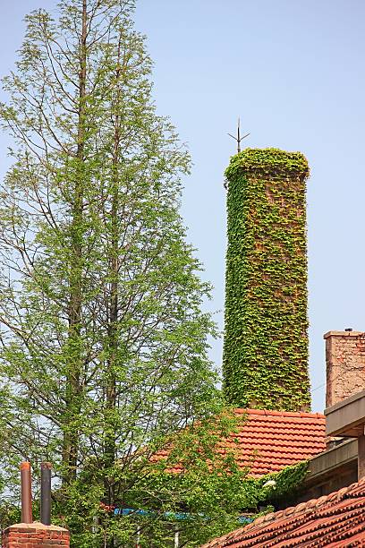 istock Leaves Cover On Chimney 497213679