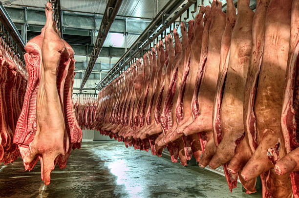 istock Fresh meat in a cold cut factory 497213994