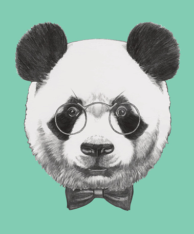 Hand drawn portrait of Panda with glasses and bow tie. Vector isolated elements.
