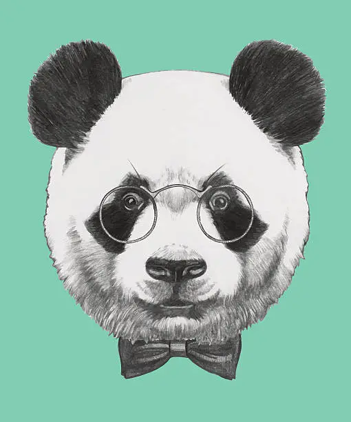 Vector illustration of Portrait of Panda with glasses and bow tie.