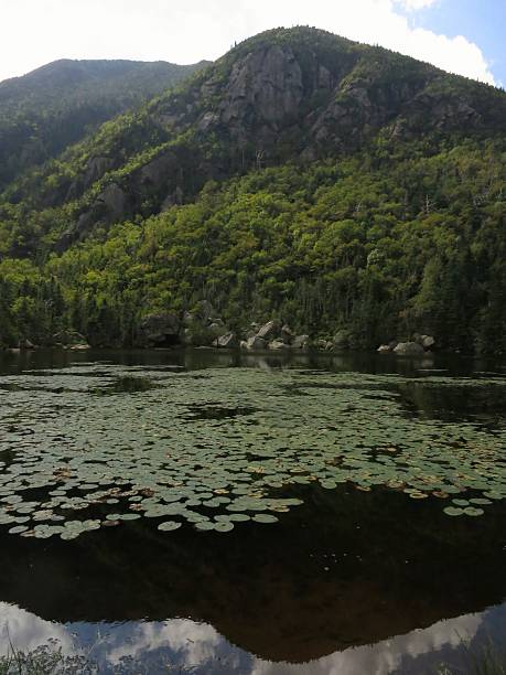 Carter Notch Glacial lake at Carter Notch in the White Mountain National Forest in New Hampshire. franconia new hampshire stock pictures, royalty-free photos & images