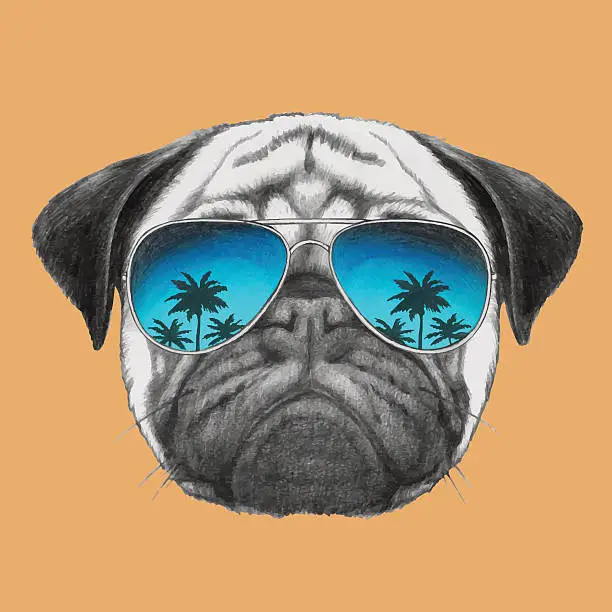 Vector illustration of Portrait of Pug Dog with mirror sunglasses.