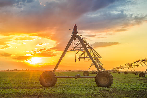 istock Automated farming irrigation system in sunset 497215770